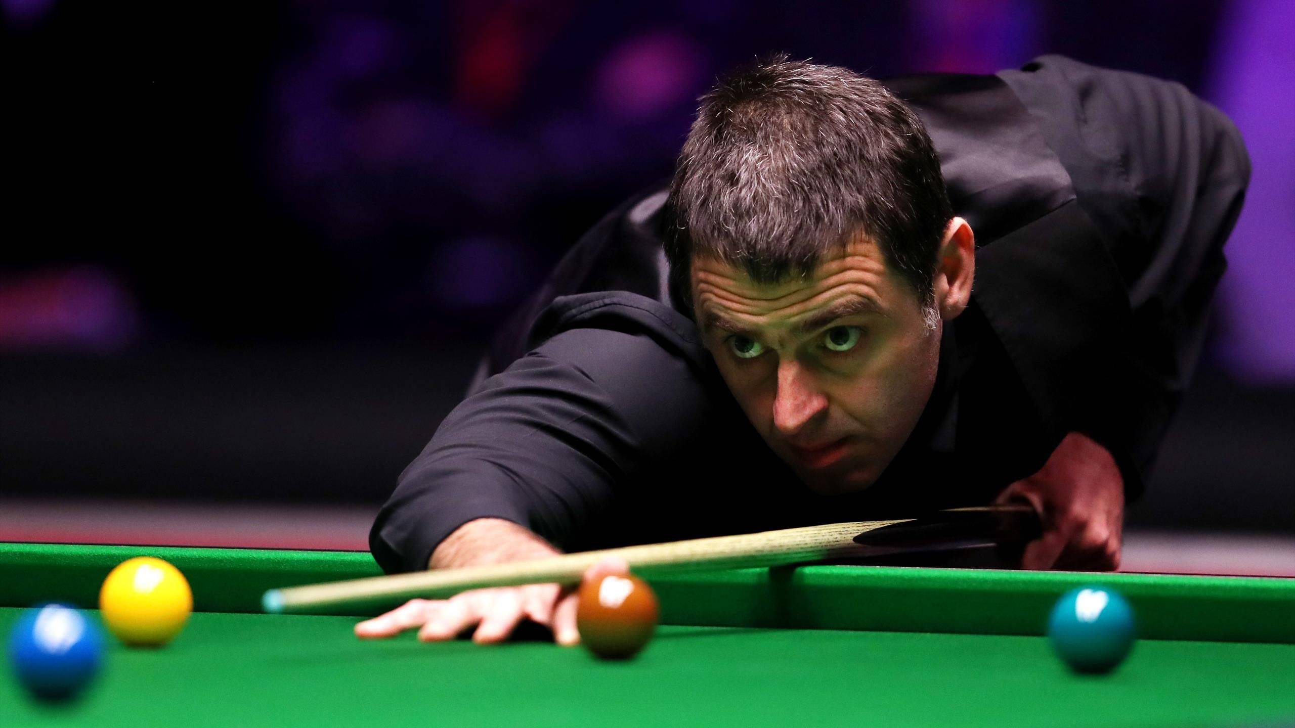 培養這些年 培養這些年