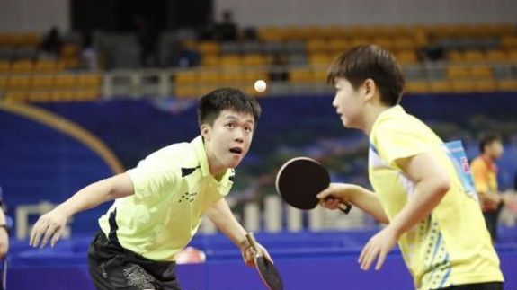 体育明星的 体育明星的