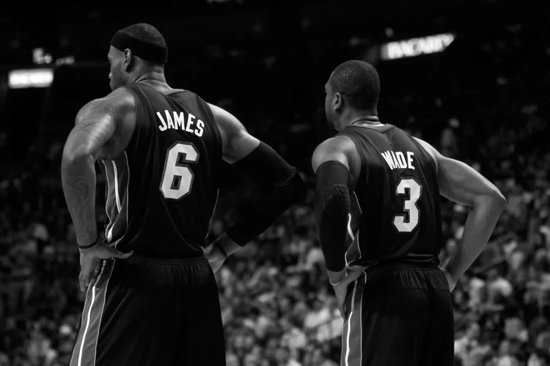 动和回头观 动和回头观