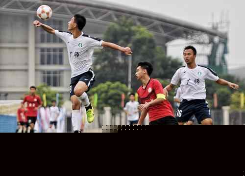 动和回头观 动和回头观